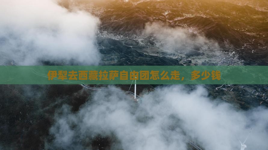 伊犁去西藏拉萨自由团