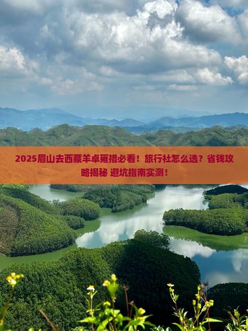 眉山去西藏羊卓雍措旅行社