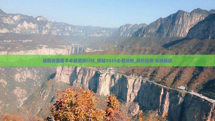 德阳去西藏羊卓雍措旅行社