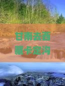 甘南去西藏卡定沟旅游