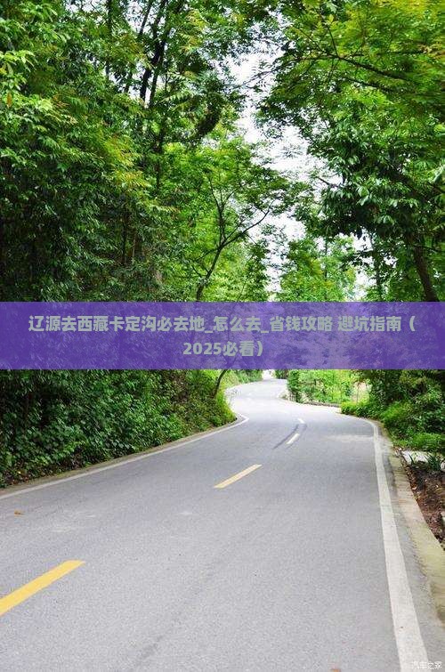 辽源去西藏卡定沟必去地