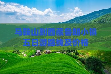 马鞍山到西藏鲁朗小镇五日游