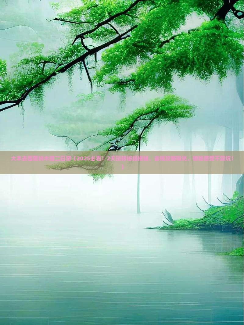 大丰去西藏纳木措二日游