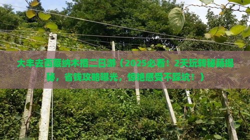 大丰去西藏纳木措二日游