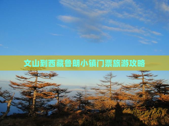 文山到西藏鲁朗小镇门票