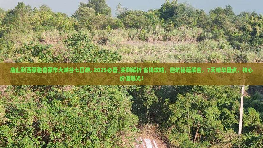唐山到西藏雅鲁藏布大峡谷七日游