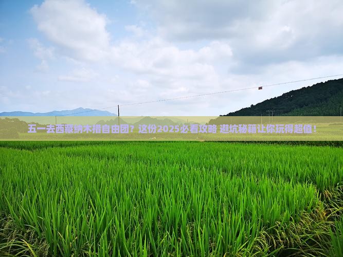劳动节去西藏纳木措自由团 劳动节去西藏纳木措自由团