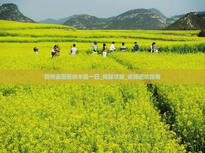 赣州去西藏纳木措一日