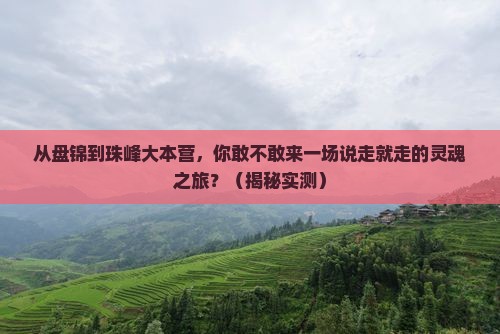 盘锦到西藏珠峰大本营团体旅游