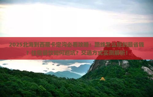 北海到西藏卡定沟攻略