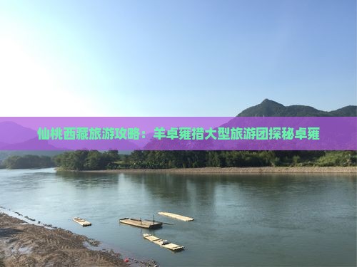 仙桃去西藏羊卓雍措大型旅游团