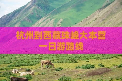 杭州到西藏珠峰大本营一日