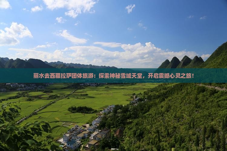 丽水去西藏拉萨团体旅游