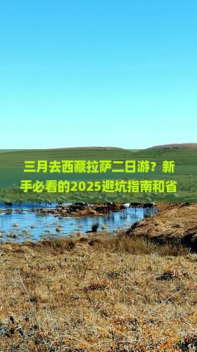 三月去西藏拉萨二日游