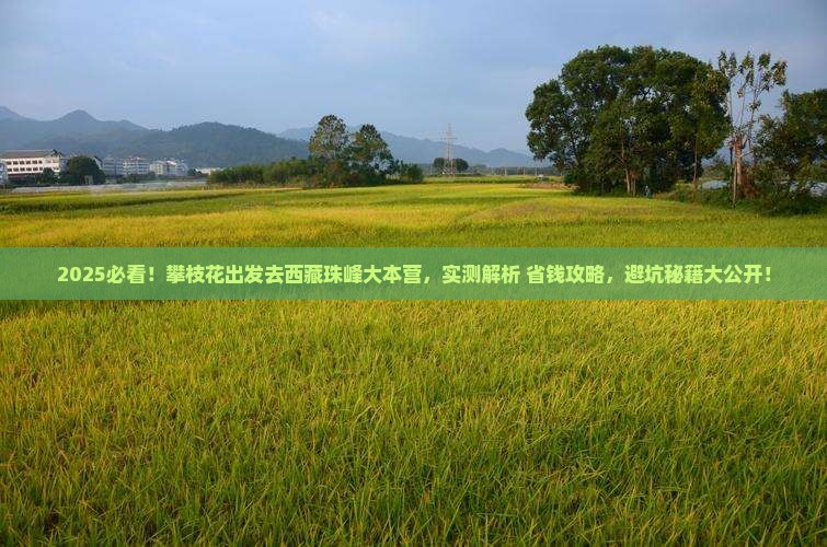 攀枝花去西藏珠峰大本营旅游