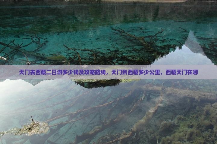 天门去西藏二日游