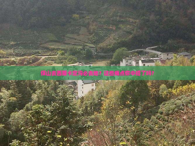 保山去西藏卡定沟必去地