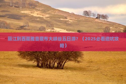 丽江到西藏雅鲁藏布大峡谷五日游