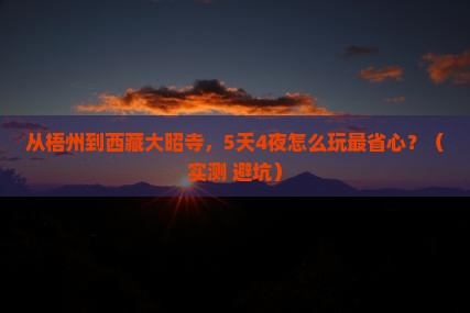梧州到西藏大昭寺门票