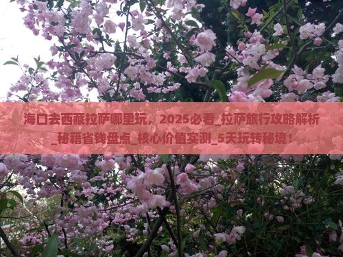 海口去西藏拉萨哪里玩