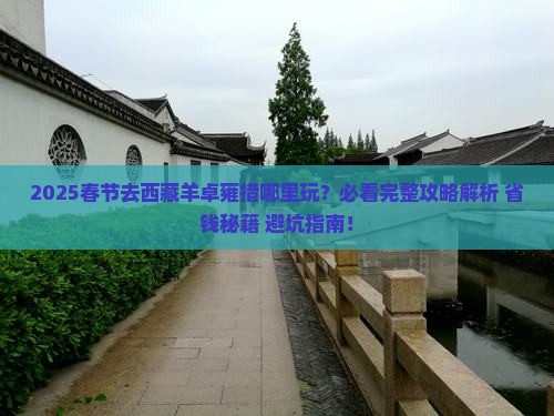 春节去西藏羊卓雍措哪里玩