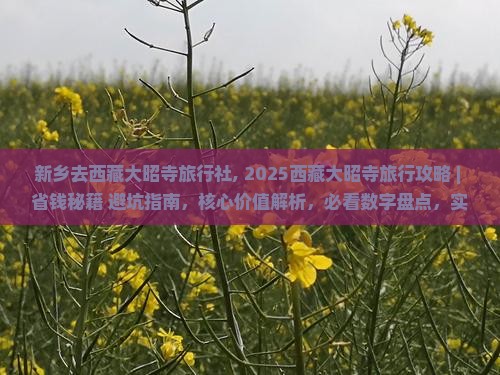 新乡去西藏大昭寺旅行社