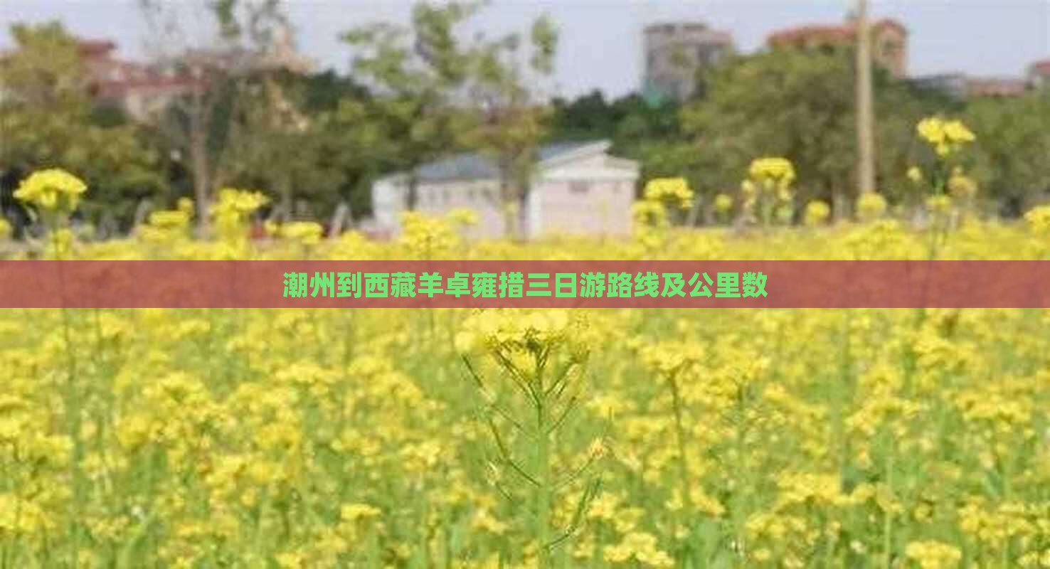 潮州到西藏羊卓雍措三日游