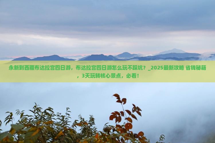 永新到西藏布达拉宫四日游