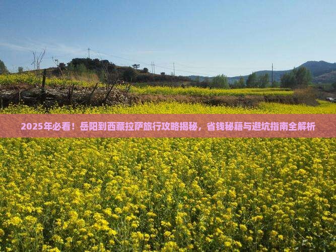 岳阳到西藏拉萨旅行社