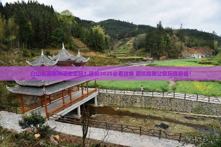 白山去西藏林芝哪里玩