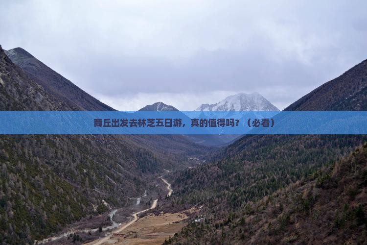 商丘去西藏林芝五日游