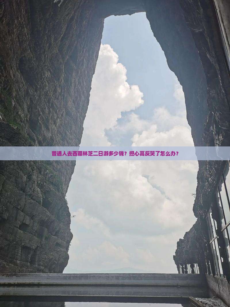 铜陵去西藏林芝二日游