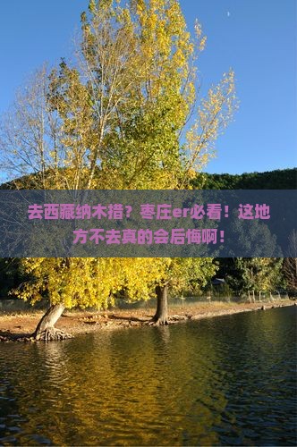 枣庄去西藏纳木措必去地