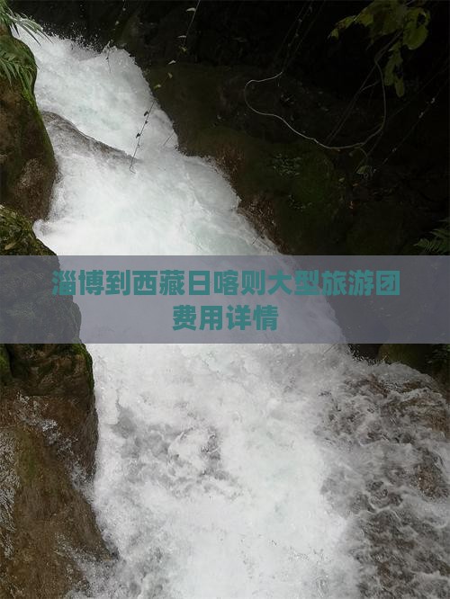 淄博到西藏日喀则大型旅游团