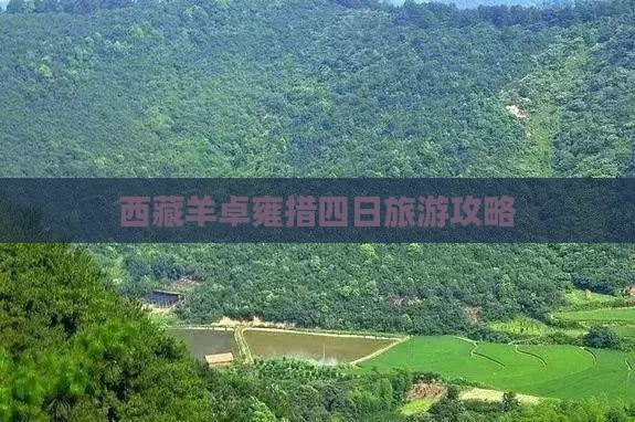 劳动节去西藏羊卓雍措四日游
