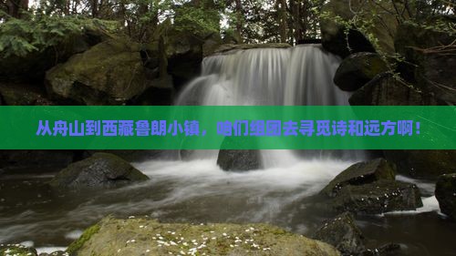 舟山到西藏鲁朗小镇团体旅游