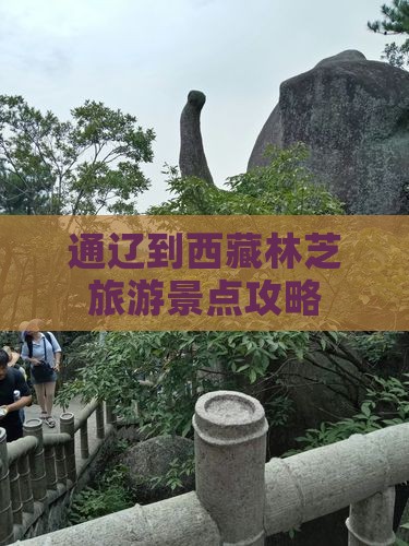 通辽去西藏林芝景点