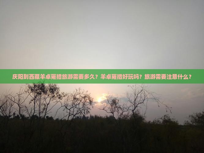 庆阳去西藏羊卓雍措旅游