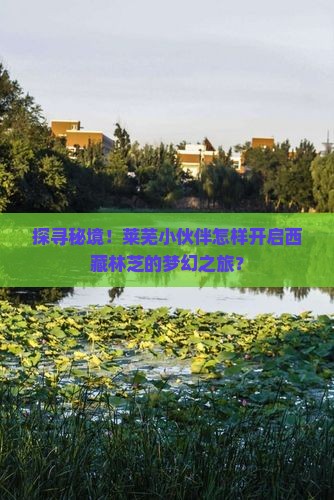莱芜去西藏林芝旅行社