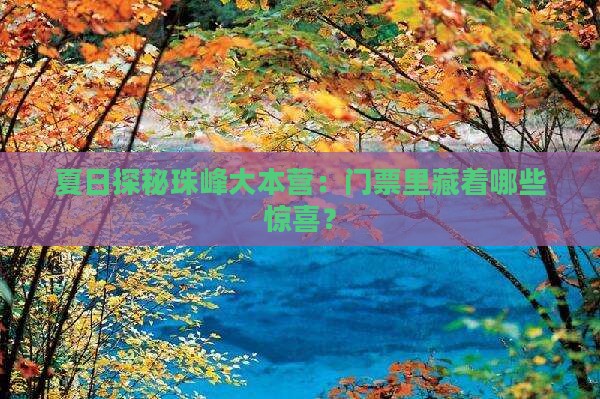 夏天去西藏珠峰大本营门票