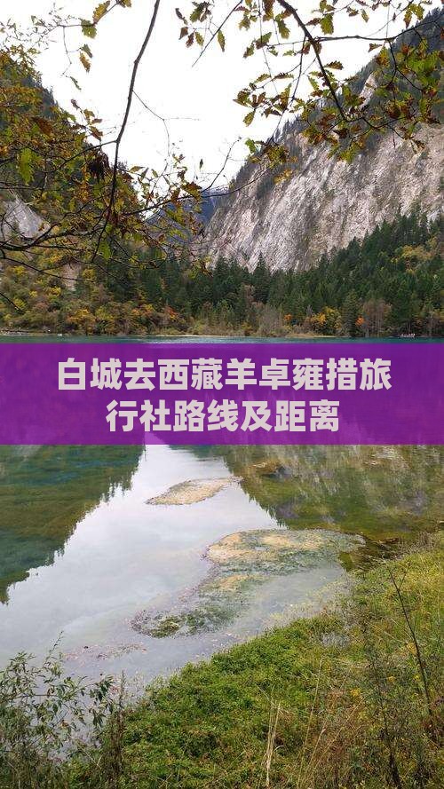 白城去西藏羊卓雍措旅行社