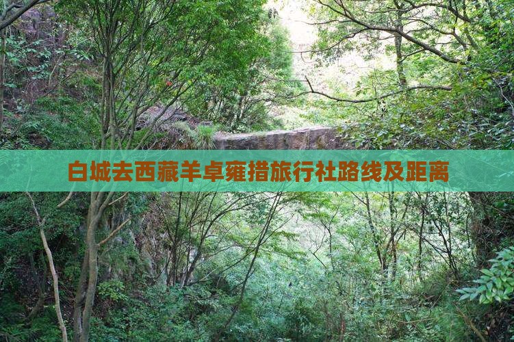 白城去西藏羊卓雍措旅行社