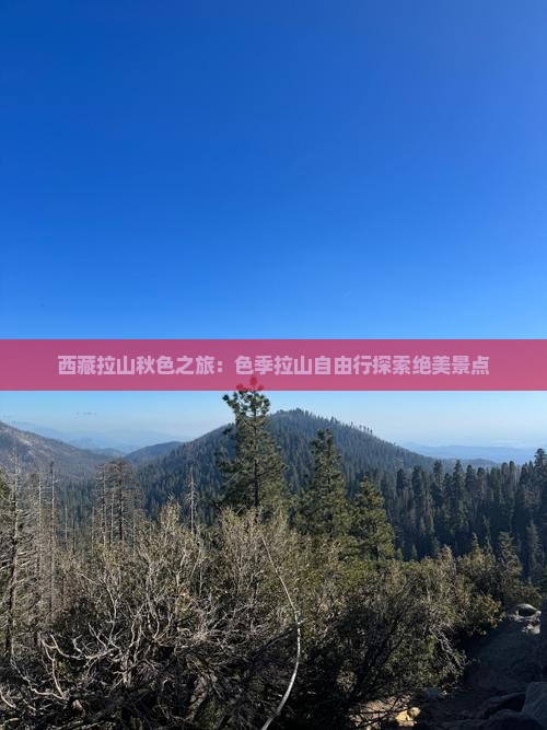 秋天到西藏色季拉山自由行