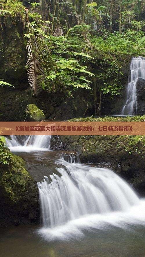 塔城去西藏大昭寺七日游