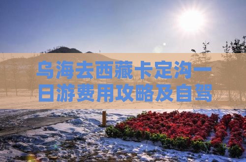 乌海去西藏卡定沟一日