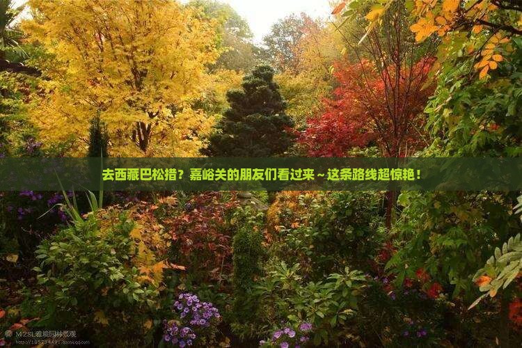 嘉峪关去西藏巴松措旅行社