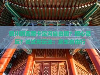 银川到西藏卡定沟自由团