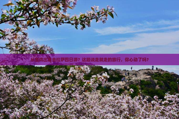 宝鸡去西藏拉萨四日游