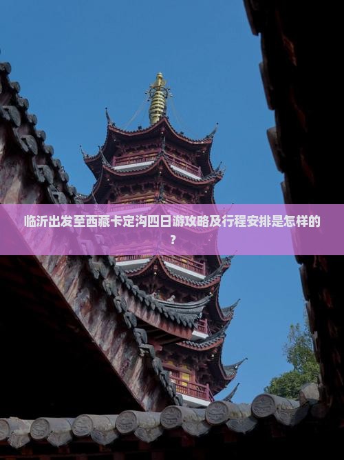 临沂去西藏卡定沟四日游