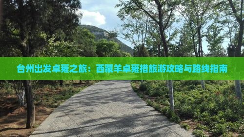 台州去西藏羊卓雍措哪里玩